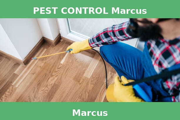 PEST CONTROL Marcus